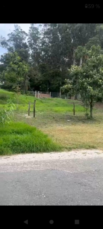 lote 
